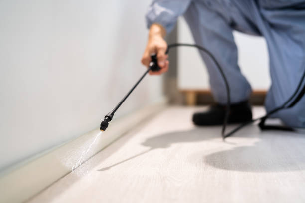 Licensed Mosquito Control service in Iota, LA - Show Me Pest Control