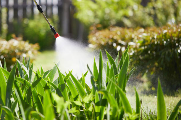 24/7 Emergency Mosquito Control experts in Iota, LA