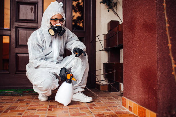 Reliable Mosquito Control contractor in Iota, LA by Show Me Pest Control